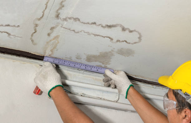 Reliable Water Damage contractor in Durand, MI by Water Damage Irwin